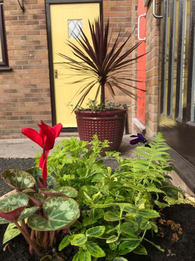 Smithaleigh Farm Rooms And Apartments Sparkwell المظهر الخارجي الصورة